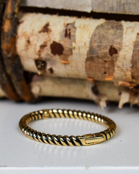 FOLLOW MY LEAD ROPE HINGED BANGLE BRACELET - 2 COLORS