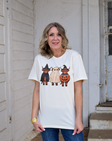 HIGHLAND COW COSTUMES GRAPHIC TEE - OATMEAL