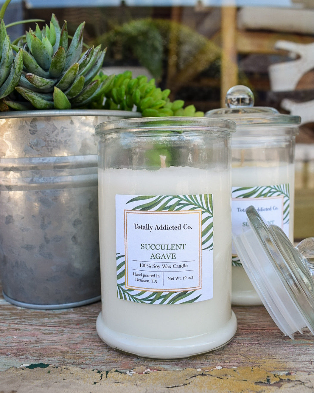 succulent wax SUCCULENT AGAVE CANDLE 9 oz. – Salty Lime Boutique