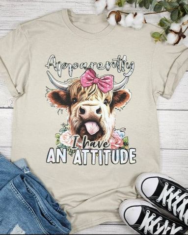 APPARENTLY I HAVE AN ATTITUDE GRAPHIC TEE