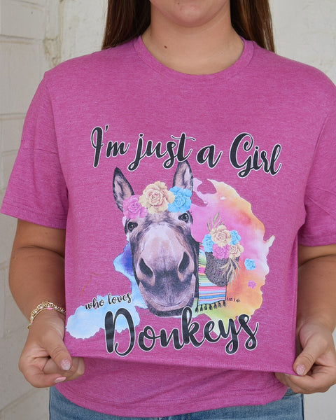 Just a Girl Who Loves Donkeys Graphic Tee - Raspberry - Reg/Curvy