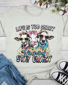 LIFE IS TOO SHORT STAY CRAZY GRAPHIC TEE