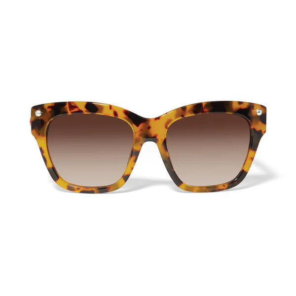 Brighton Fashionista Love Sunglasses